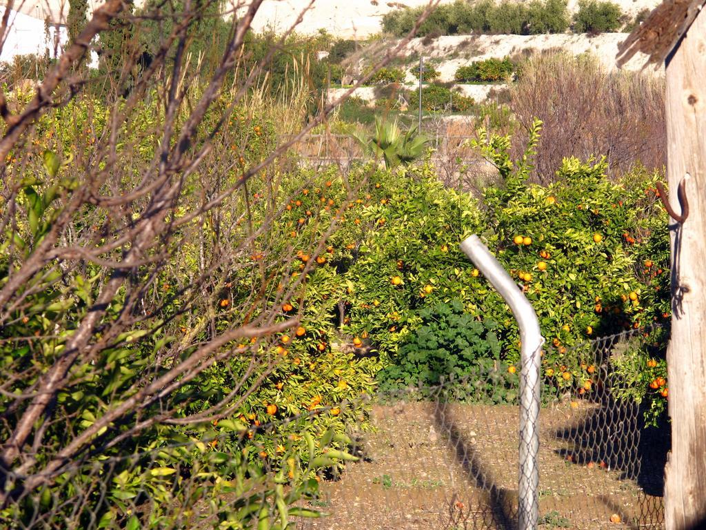 Sol Mediterraneo Archena Exterior foto